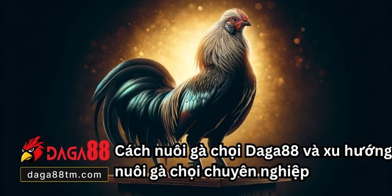 Cách Nuôi Gà Chọi - Daga88 Hướng Dẫn Chi Tiết Cho Tân Thủ