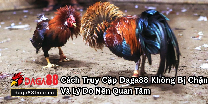 Cách Truy Cập Daga88 Không Bị Chặn - Link Mới Nhất 2026