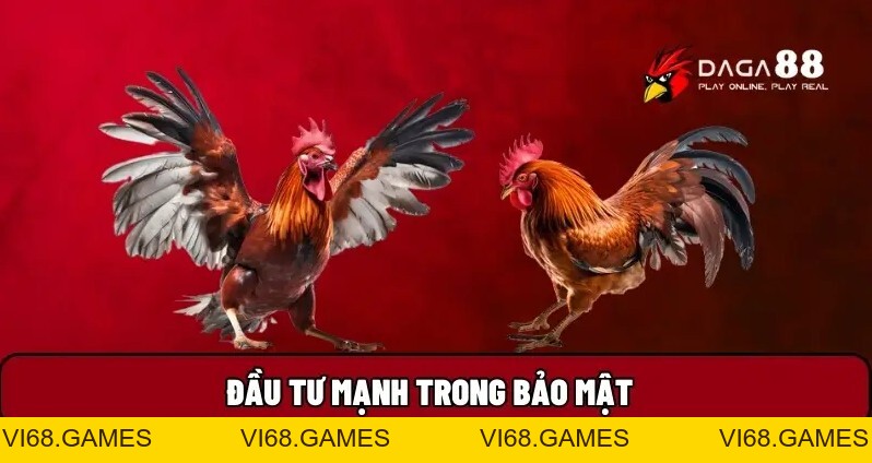 Daga88 🎖️ Xem Đá Gà 88 Trực Tiếp Thomo Hôm Nay Full HD