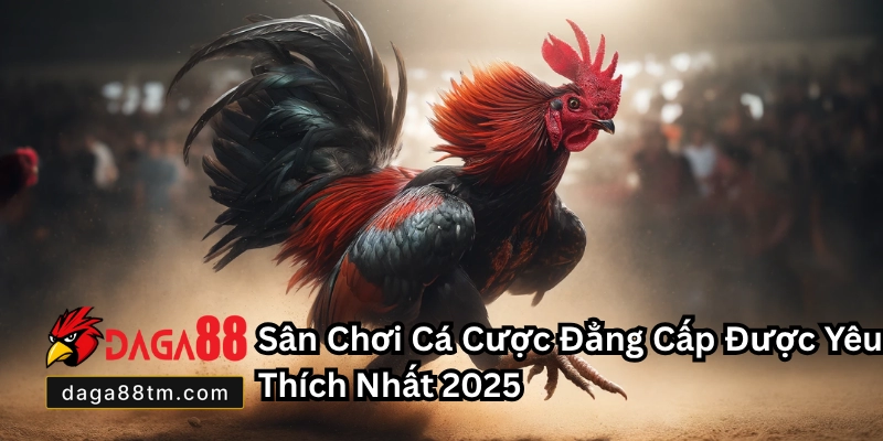Đá Gà Campuchia Daga88 - Cơ Hội Cá Cược Đỉnh Cao 2026