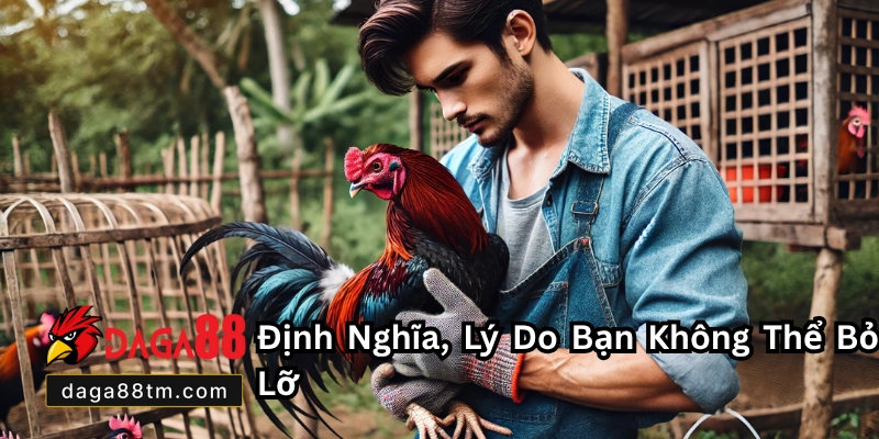 Đá Gà Cựa Sắt DAGA88 - Trải Nghiệm Đỉnh Cao Đá Gà Uy Tín