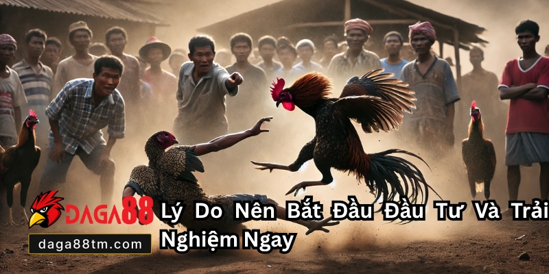 Đá Gà Mỹ Daga88 - Sân Chơi Cá Cược Sống Động Nhất 2026