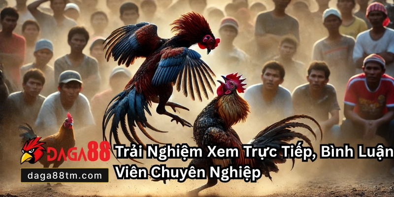 Đá Gà Thomo Daga88 - Trải Nghiệm Cá Cược Uy Tín Nhất 2026