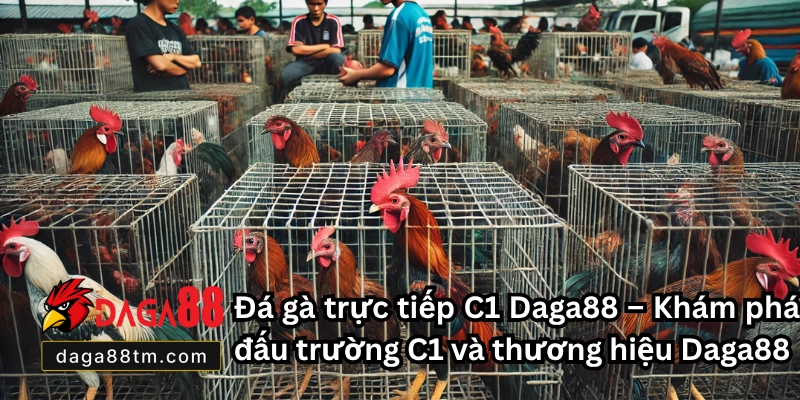 Đá Gà Trực Tiếp C1 Daga88- Cá Cược Online Hấp Dẫn 2026 Đá Gà Trực Tiếp C1 Daga88- Cá Cược Online Hấp Dẫn 2026