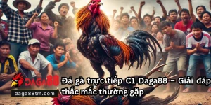 Daga88 🎖️ Xem Đá Gà 88 Trực Tiếp Thomo Hôm Nay Full HD