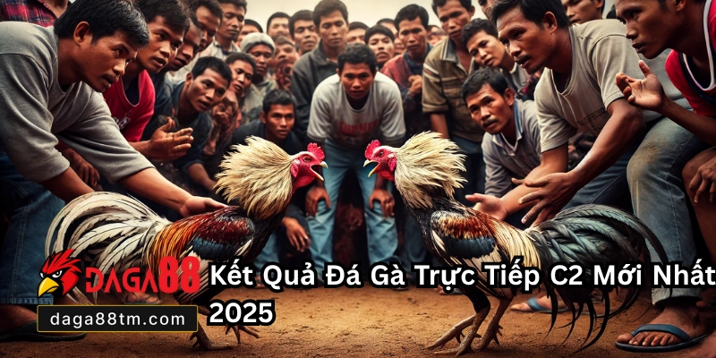 Đá Gà Trực Tiếp C2 - Cập Nhật Lịch Thi Đấu Mới Nhất 2026