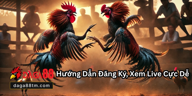 Đá Gà Trực Tiếp C3 Daga88 - Xem Live Cá Cược Hấp Dẫn Đá Gà Trực Tiếp C3 Daga88 - Xem Live Cá Cược Hấp Dẫn