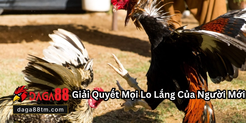 Đăng Ký Daga88 - Hướng Dẫn Tạo Tài Khoản Nhanh Chóng