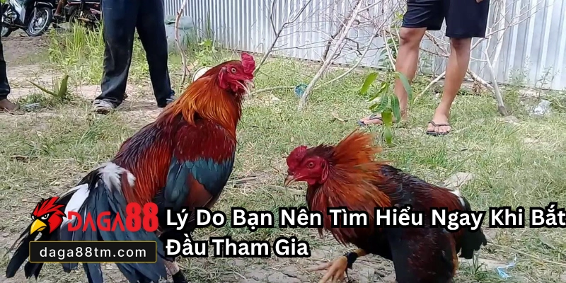Đăng Ký Daga88 - Hướng Dẫn Tạo Tài Khoản Nhanh Chóng