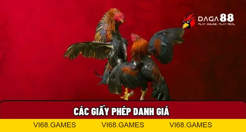 Daga88 🎖️ Xem Đá Gà 88 Trực Tiếp Thomo Hôm Nay Full HD