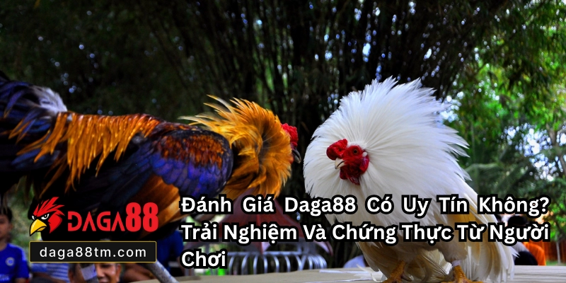Giới Thiệu Về DAGA88 - Nhà Cái Đá Gà Online Châu Á Uy Tín