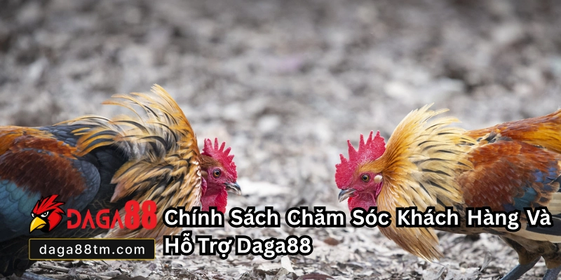 Giới Thiệu Về DAGA88 - Nhà Cái Đá Gà Online Châu Á Uy Tín