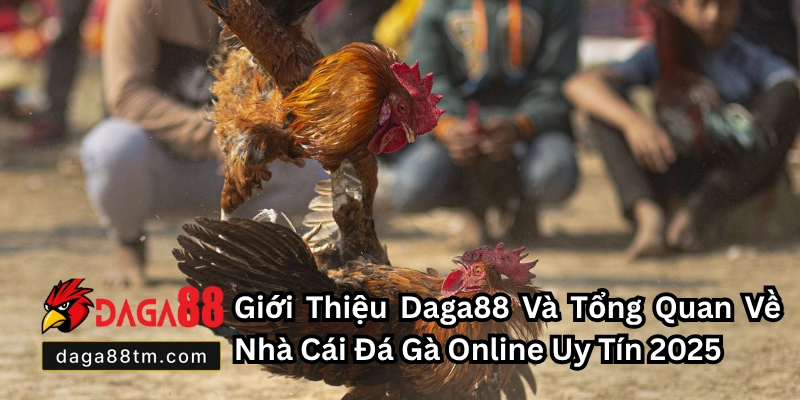 Giới Thiệu Về DAGA88 - Nhà Cái Đá Gà Online Châu Á Uy Tín