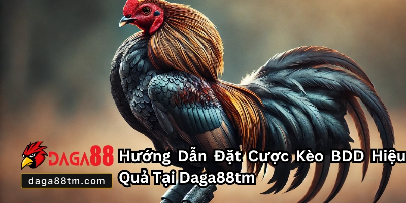 Kèo BDD - Tất Tần Tật Thông Tin Và Cách Chơi Chuẩn