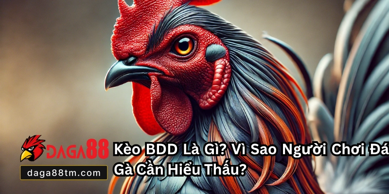Kèo BDD - Tất Tần Tật Thông Tin Và Cách Chơi Chuẩn