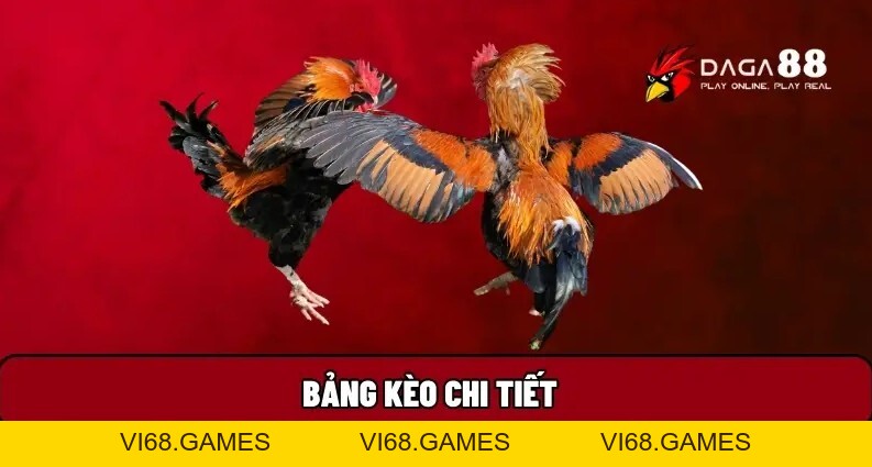 Daga88 🎖️ Xem Đá Gà 88 Trực Tiếp Thomo Hôm Nay Full HD