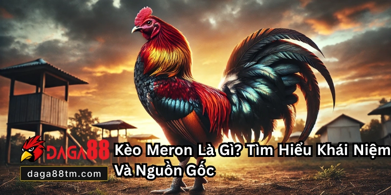 Kèo Meron - Kinh Nghiệm Và Cách Chơi Hiệu Quả 2026 Kèo Meron - Kinh Nghiệm Và Cách Chơi Hiệu Quả 2026