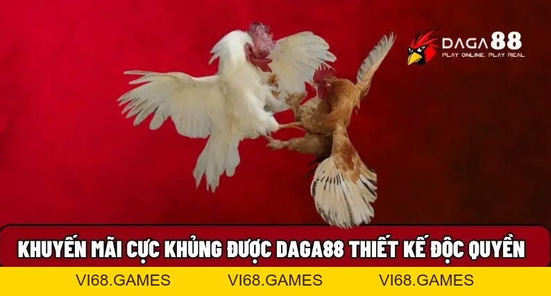 Daga88 🎖️ Xem Đá Gà 88 Trực Tiếp Thomo Hôm Nay Full HD