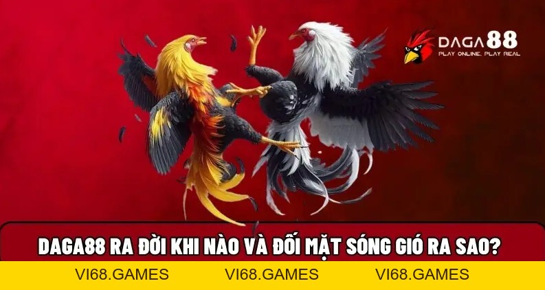 Daga88 🎖️ Xem Đá Gà 88 Trực Tiếp Thomo Hôm Nay Full HD