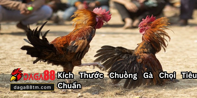Quy Chuẩn Chuồng Gà Chọi - Khám Phá Cùng Daga88