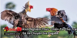 Tin tức - DAGA88