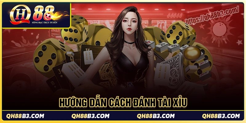 Cách đánh tài xỉu: Bí quyết tăng tỷ lệ thắng cao tại QH88